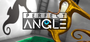 PERFECT ANGLE New Relaxing Story